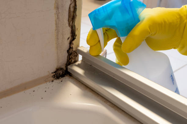 Best Emergency Mold Removal  in Jean Fitte, LA