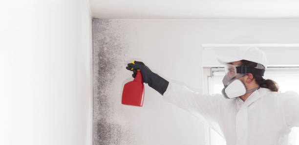 Best Mold Cleaning Services  in Jean Fitte, LA